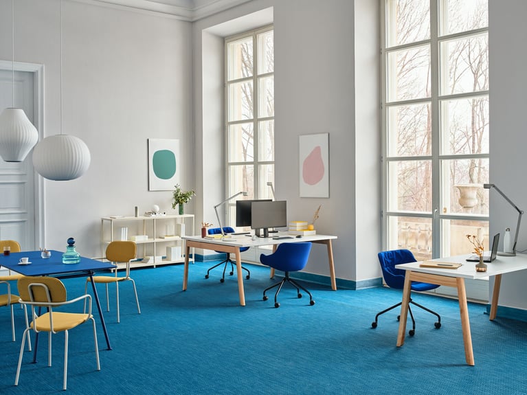 Couleurs et espaces de travail : un levier pour le bien-être et la productivité